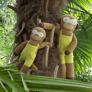 Yoyo the Monkey