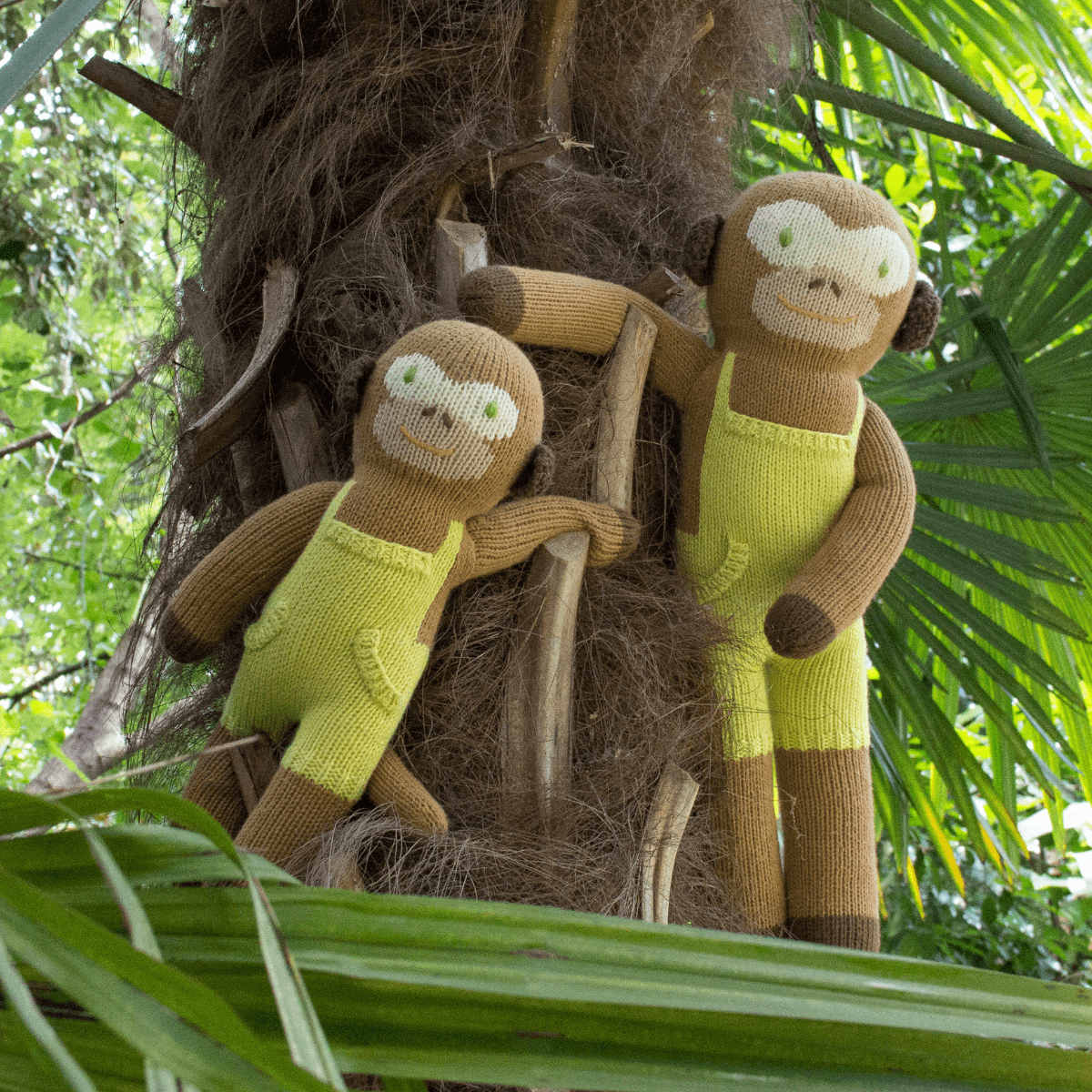Yoyo the Monkey