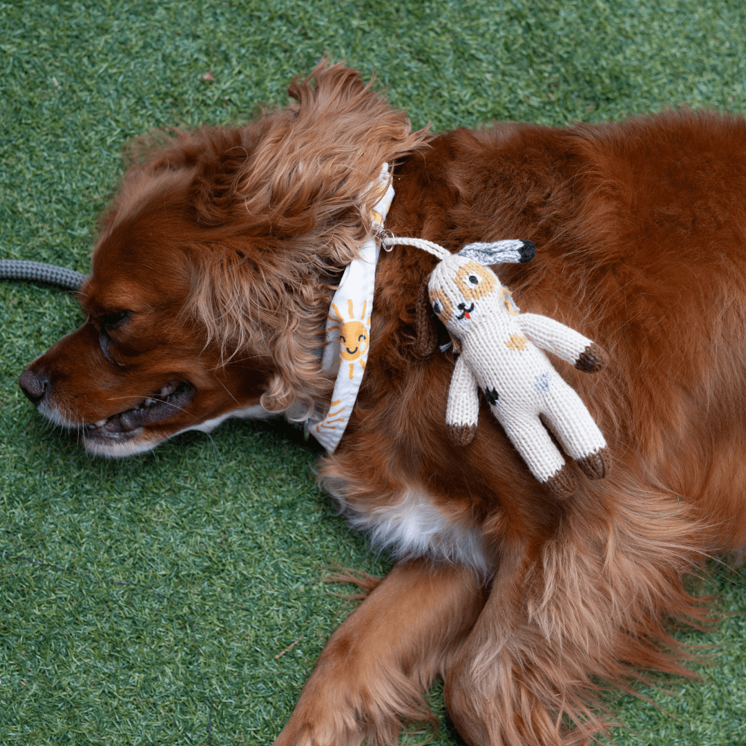 Bag Charm Ozzie the Dog