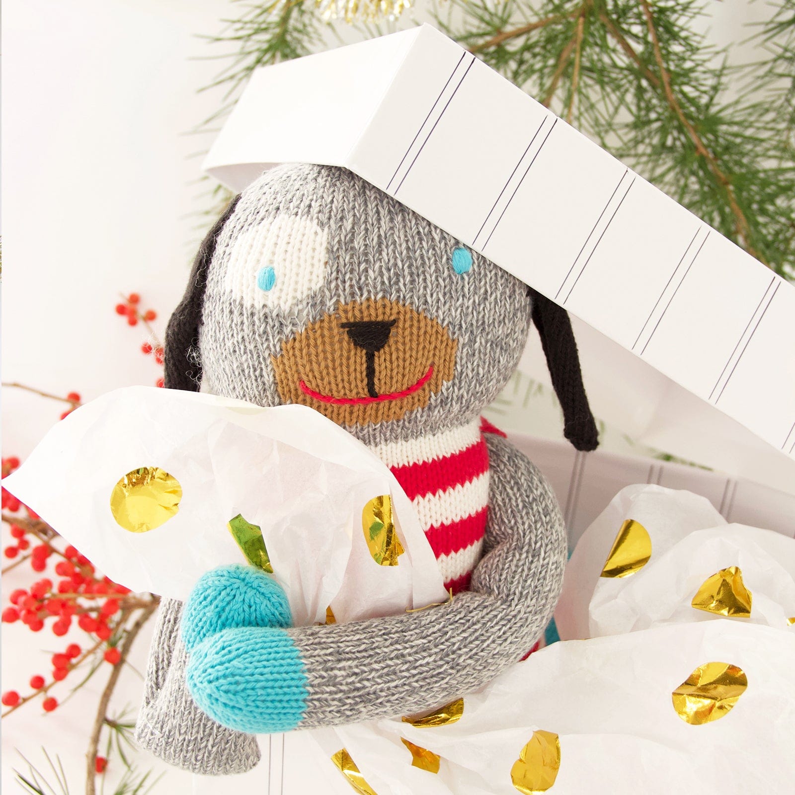 Andiamo the Dog