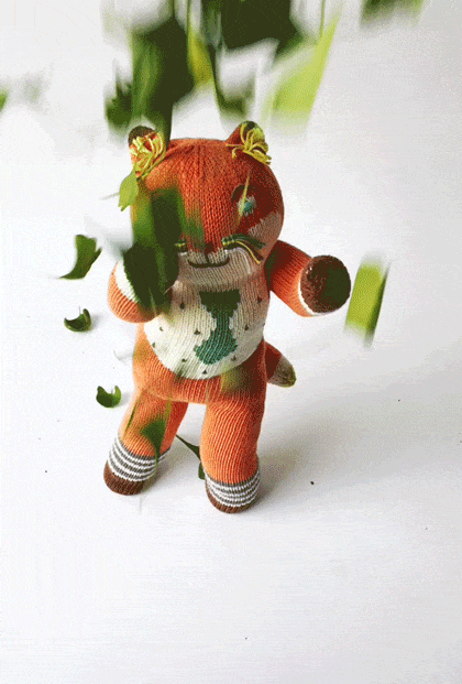 Socks the Fox