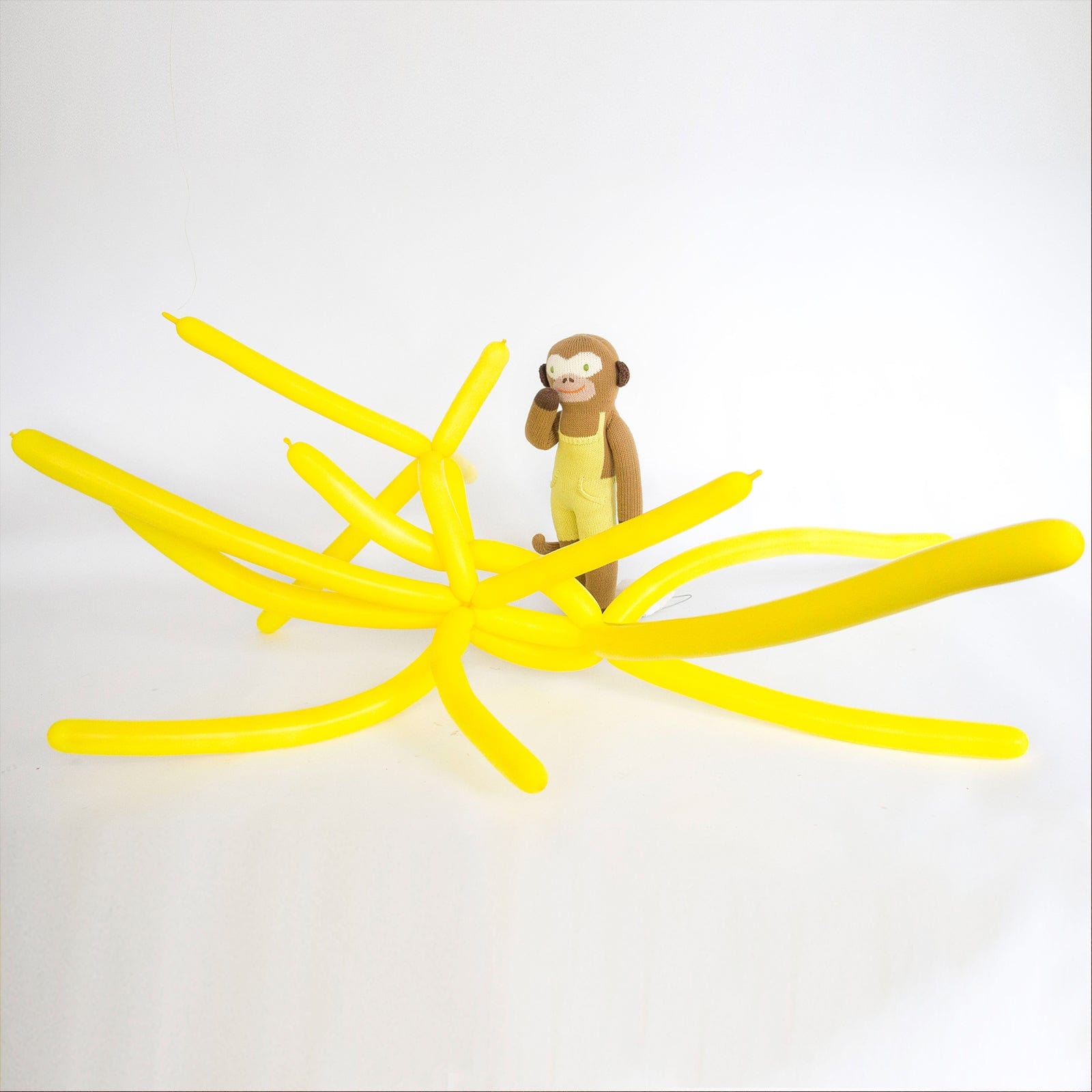 Yoyo the Monkey