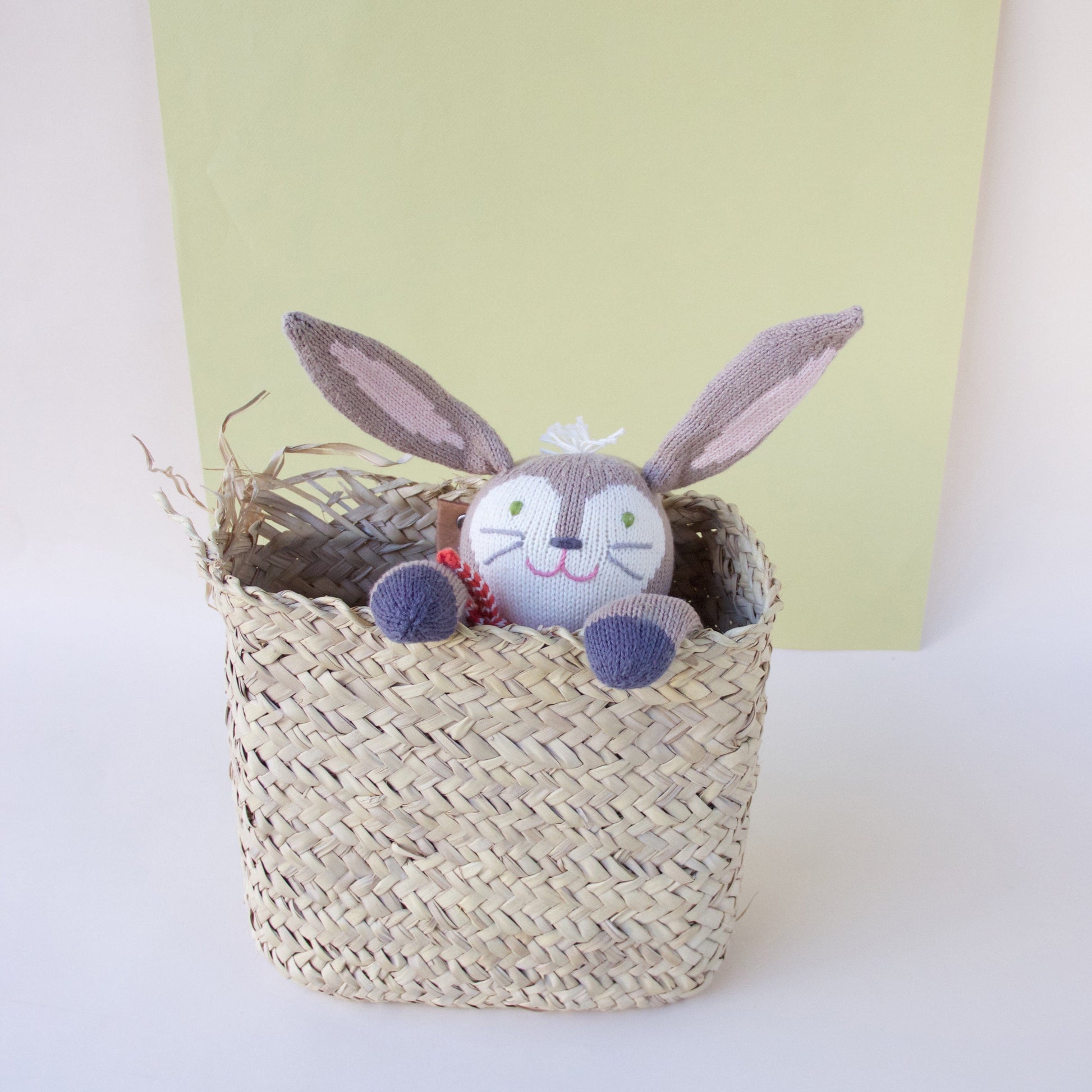 Pierre the Bunny