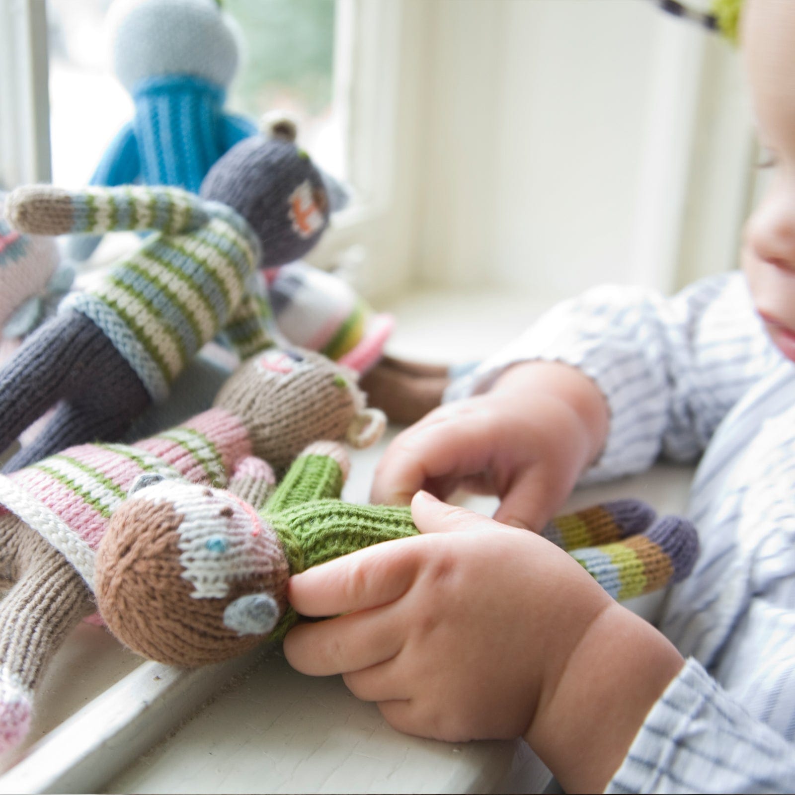 School Book Boy Cat Rattle