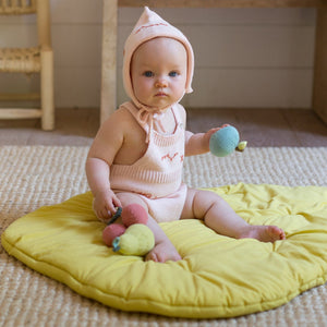 Fruit Rattle Pear