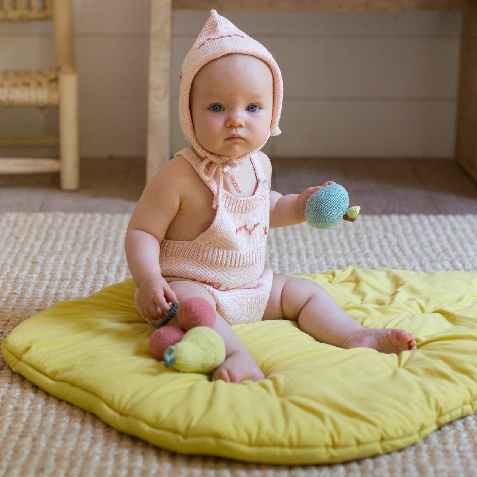 Fruit Rattle Apple